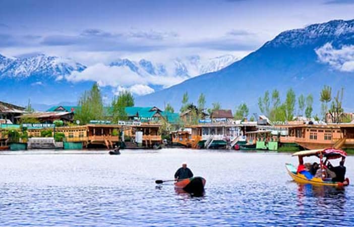 Kashmir-Domestic